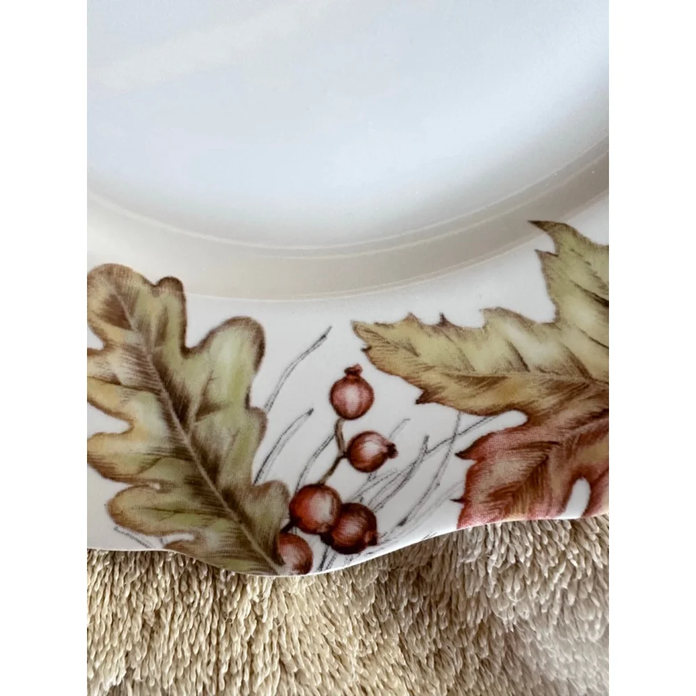 NOS Pier 1 Imports Mazey Critters Porcelain Dinner Plate 10 1/2” Never Used